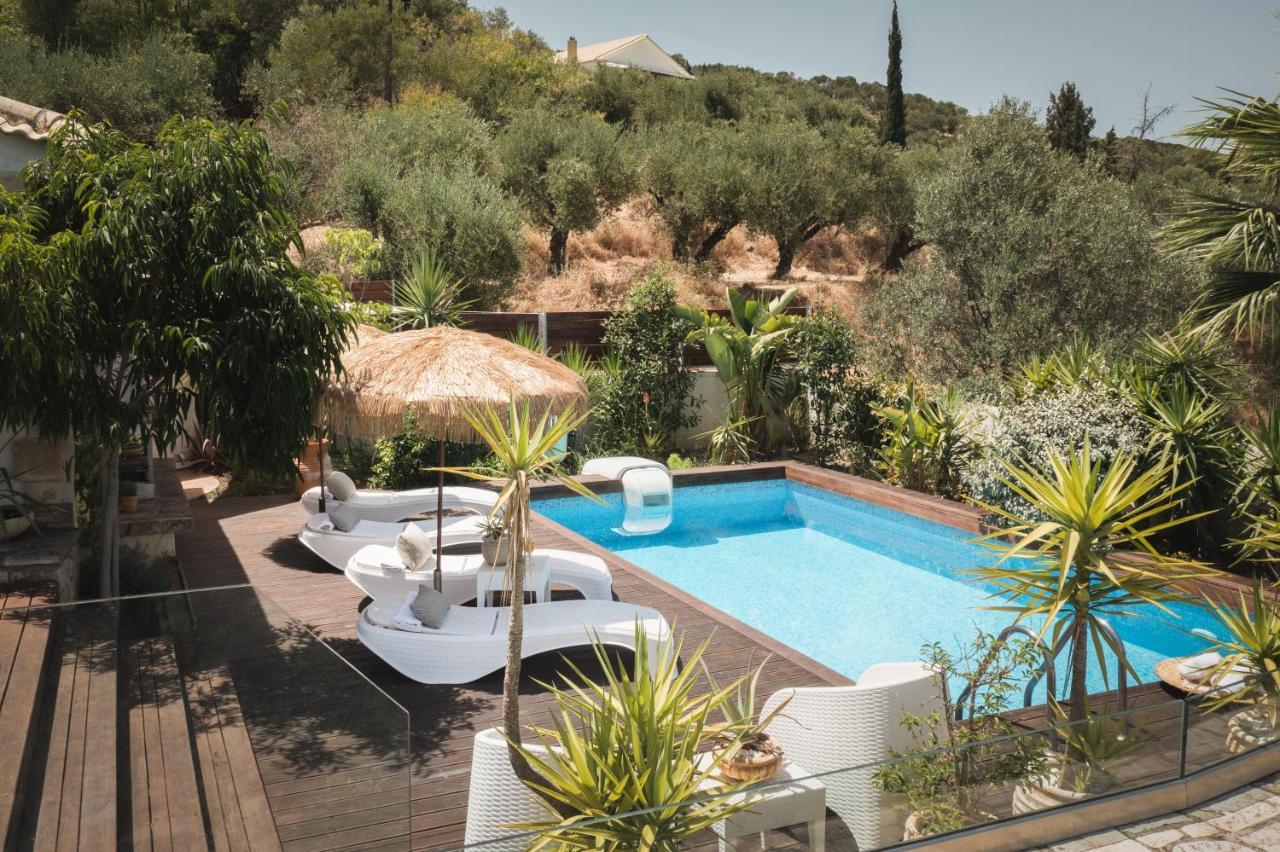 Villa Ark Luxury&private